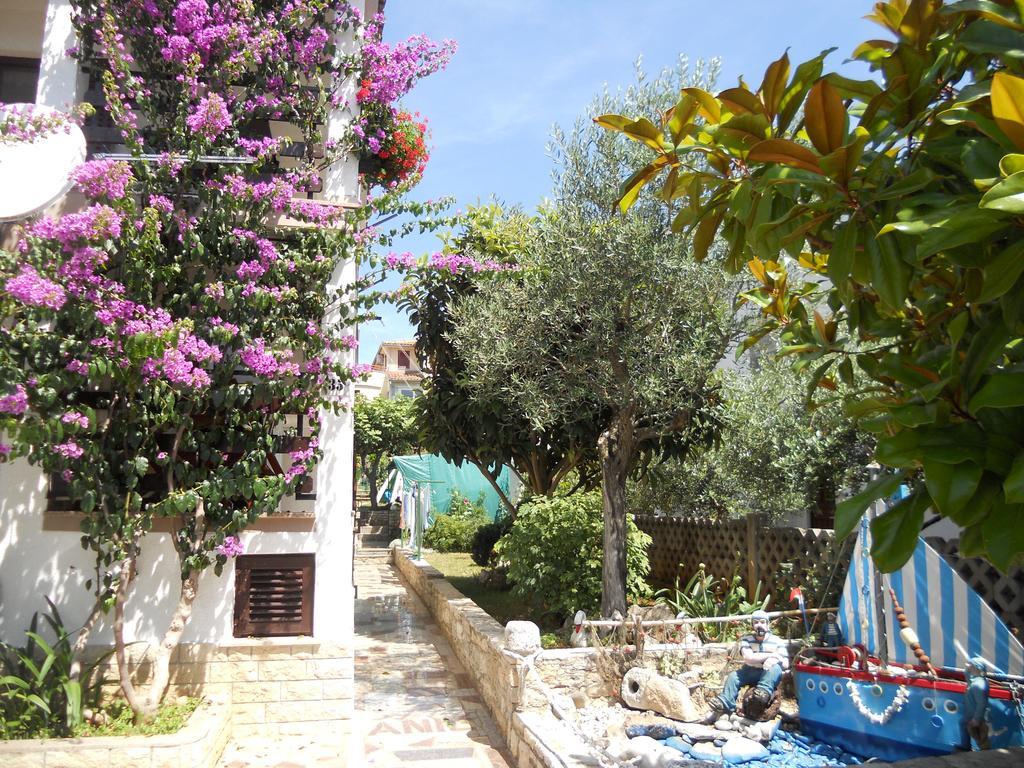 Anic * Novigrad (Istria)