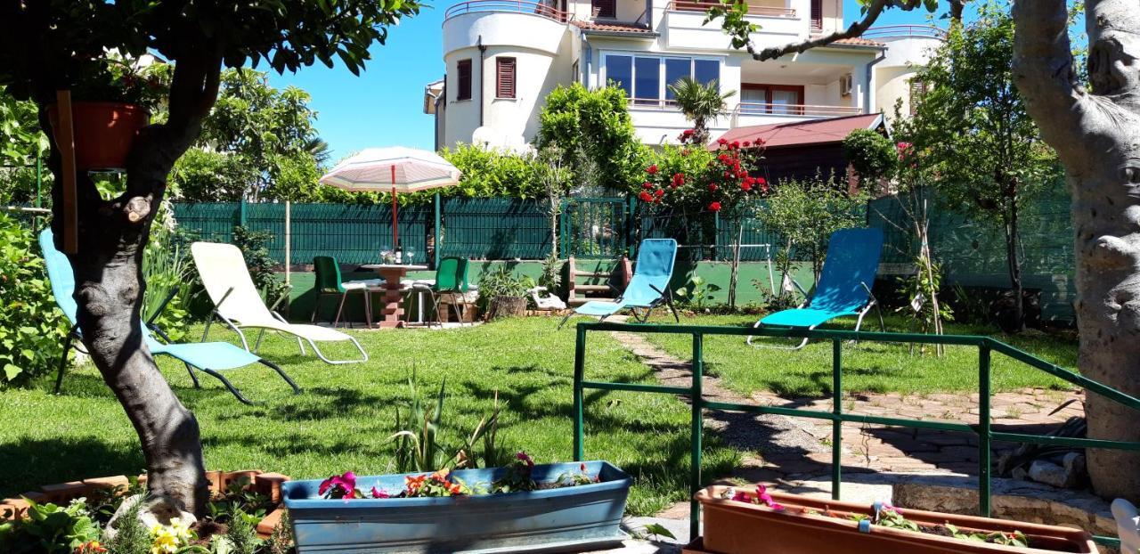 Apartment Anic